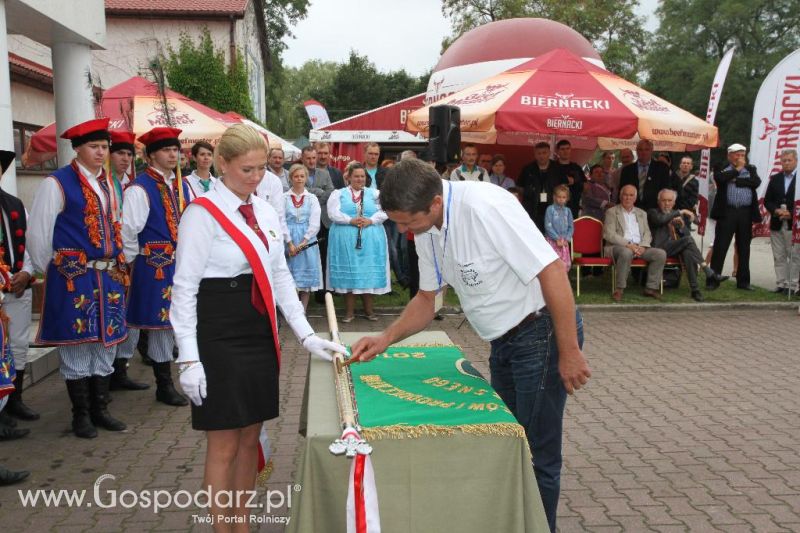 I Krajowa Wystawa Bydła Mięsnego w Sielinku - sobota