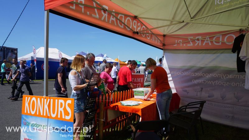 ZIELONE AGRO SHOW 2017 w Ułężu (niedziela, 28 maja)