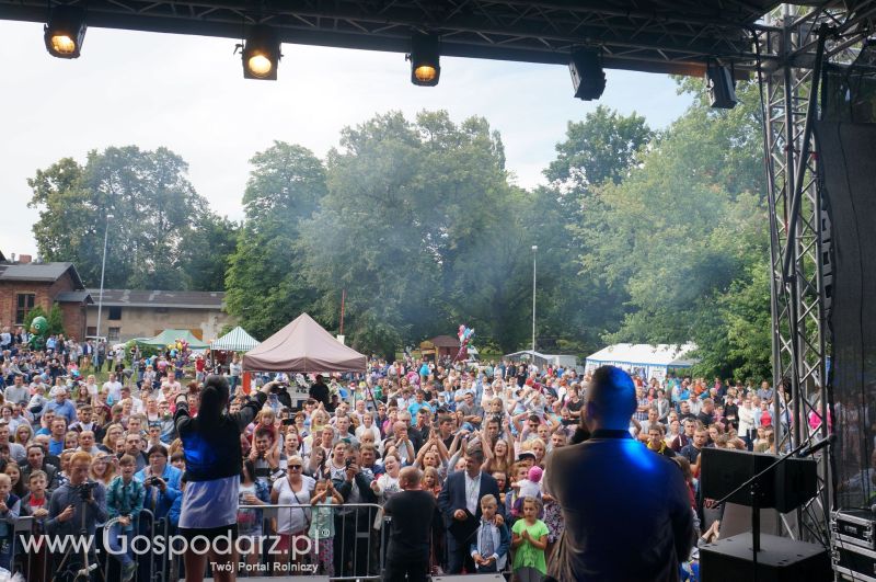 V Ogólnopolski Festiwal Wieprzowiny w Koźminie Wielkopolskim