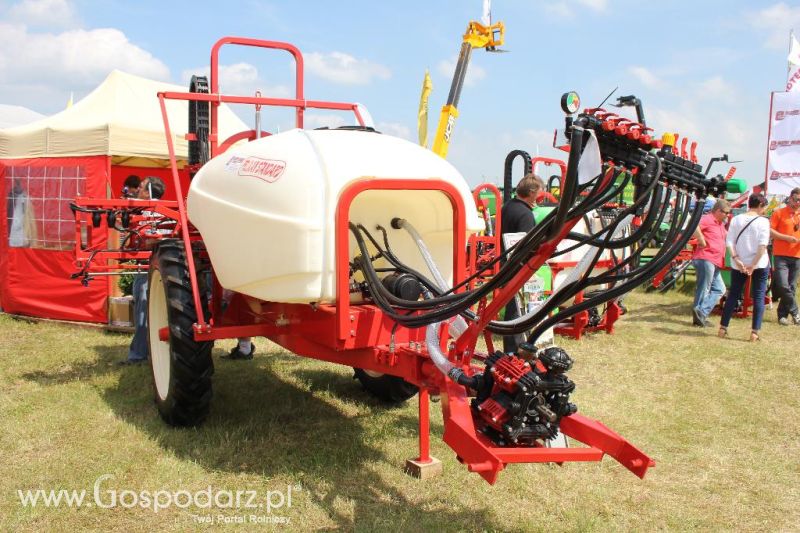 Bury na Opolagrze 2013