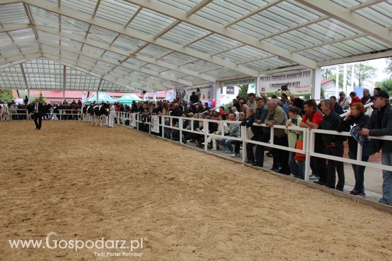 VII Ogólnopolska Wystawa Bydła Hodowlanego - Sielinko 2012