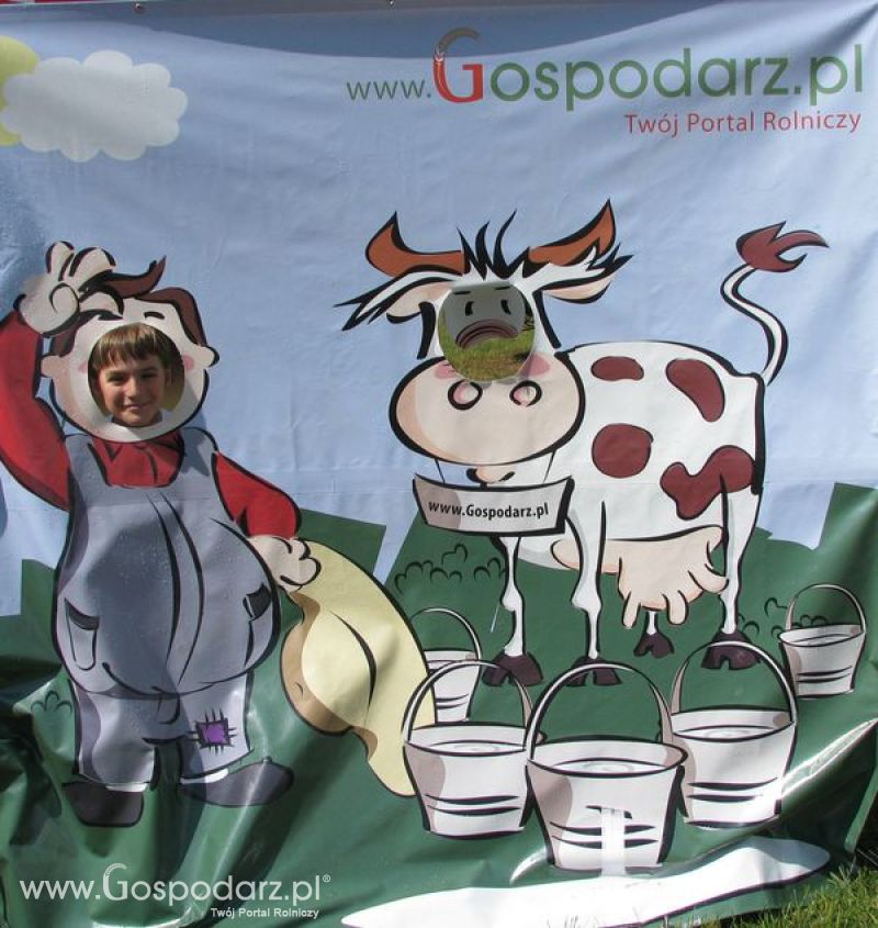 Wielkopolskie Targi Rolnicze „Sielinko 2011”  - Krówka Gospodarza