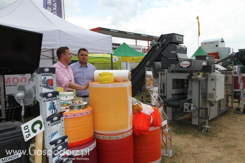 OPOLAGRA 2015 w Kamieniu Śląskim