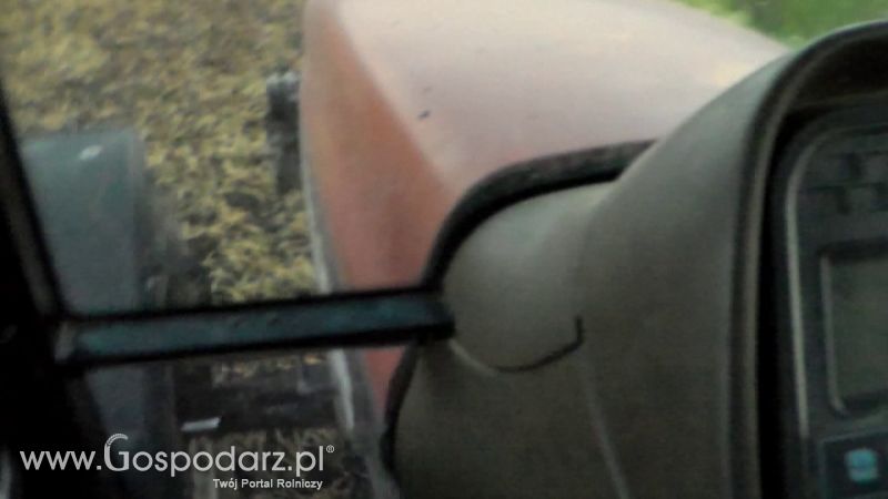 Talerzowane 2013 