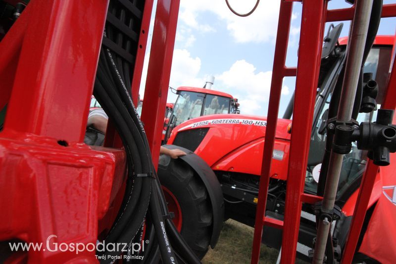 Krukowiak na OPOLAGRA Kamień Śląski 2018