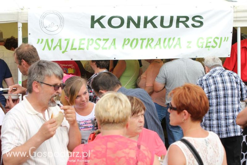 XI Święto Gęsi w Biskupcu