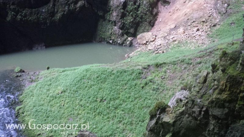 Precyzyjni Gospodarze w Czechach