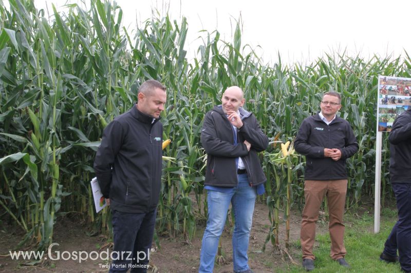 Poletka doświadczalne Caussade Nasiona w Dziećmiarkach 2017