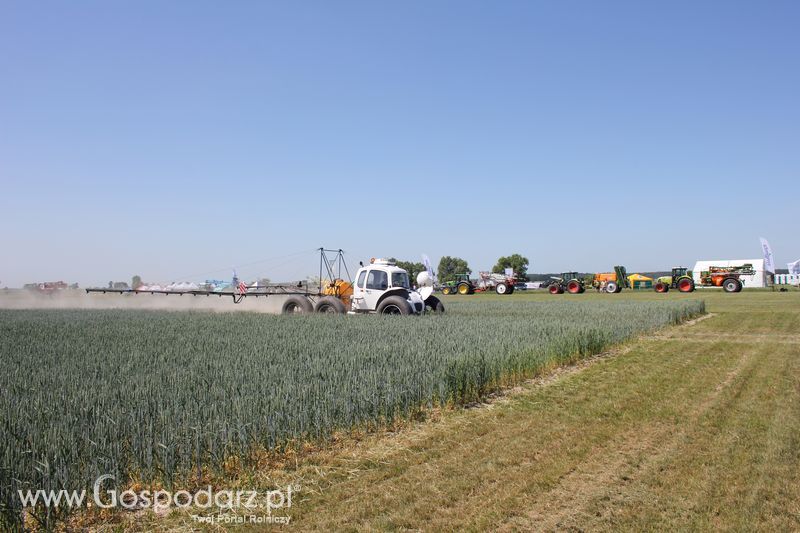 Polskie Zboża 2011 - Piątek 