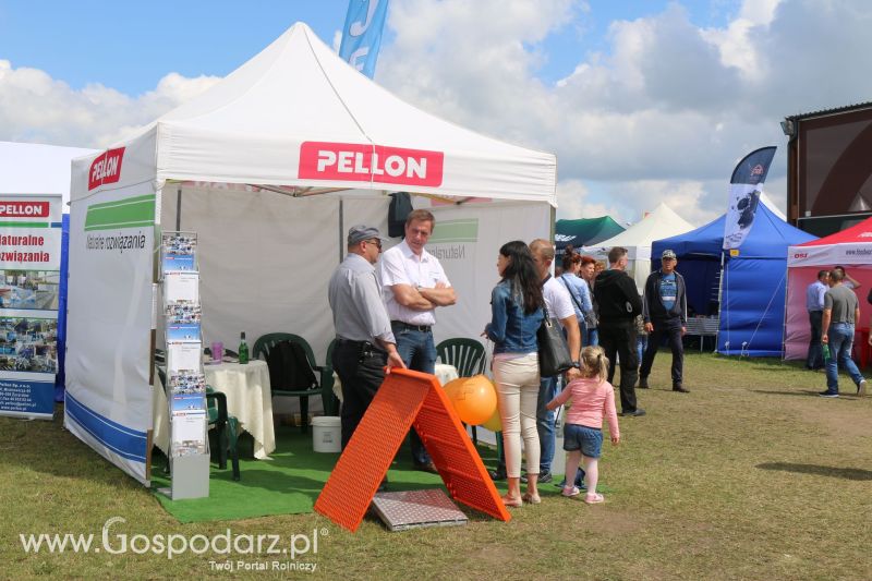 Pellon na AGRO-TECH Minikowo 2017