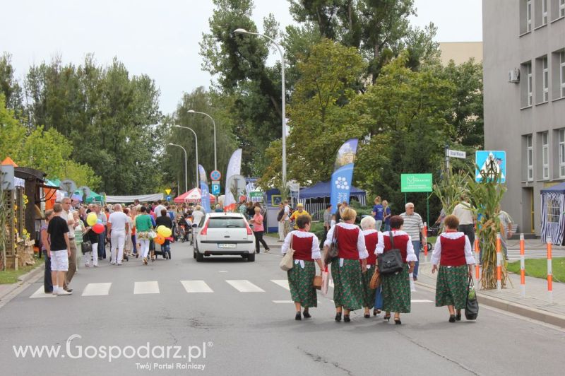 XIV Wojewódzko-Diecezjalne Dożynki Wielkopolskie w Ostrowie Wielkopolskim
