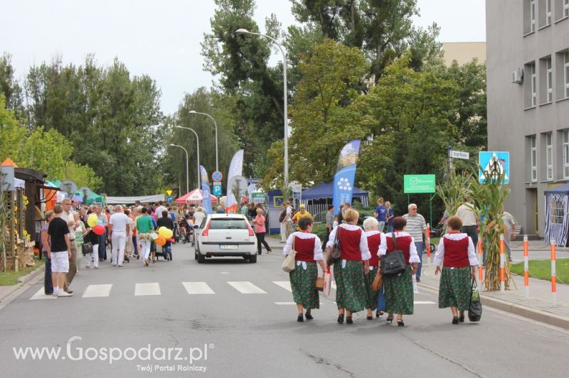 XIV Wojewódzko-Diecezjalne Dożynki Wielkopolskie w Ostrowie Wielkopolskim