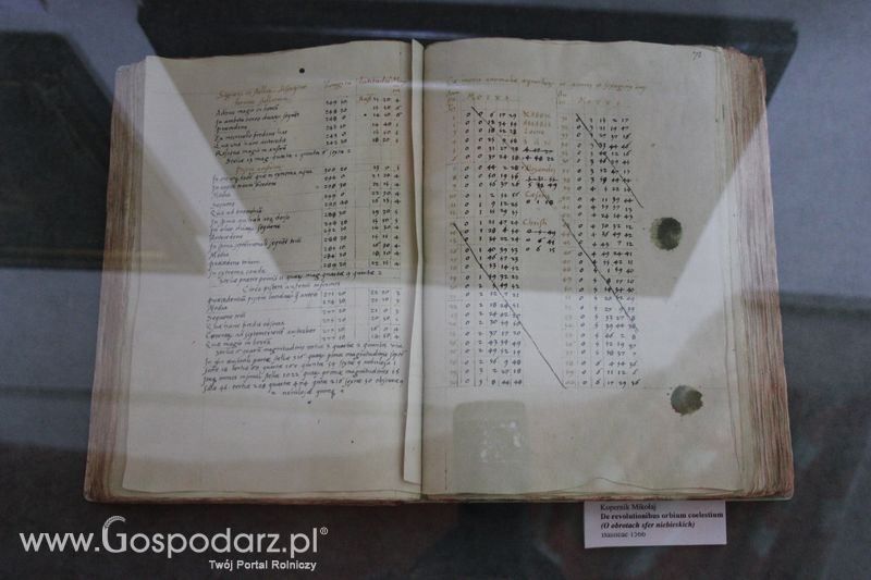 Grupy producenckie zapoznawały się z lokalną historia Lidzbarka Warmińskiego