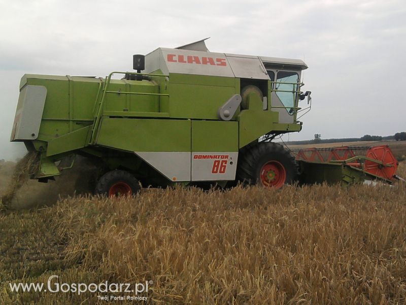 Żniwa 2011 CLAAS C-360 w roli głownej 