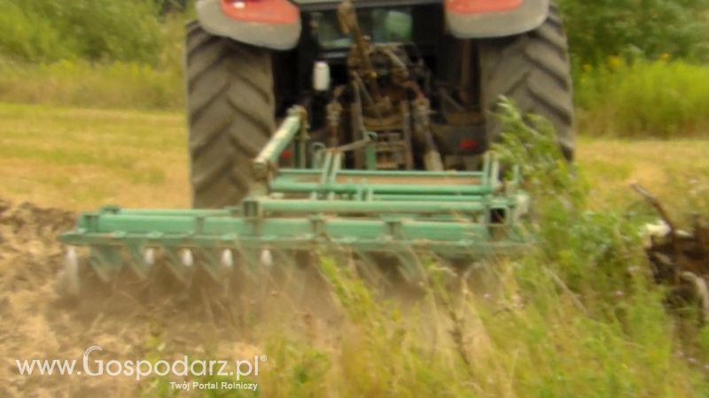 Talerzowane 2013 