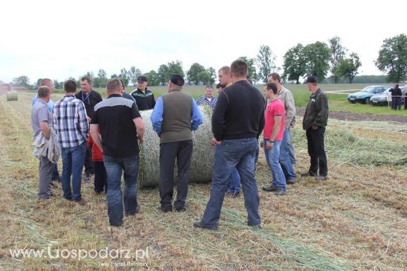 Pokazy polowe Romanów k/Krotoszyna