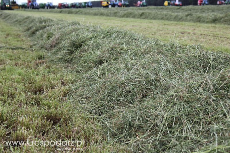 Pokazy maszyn Polskie Zboża Zielone Agro Show 2012