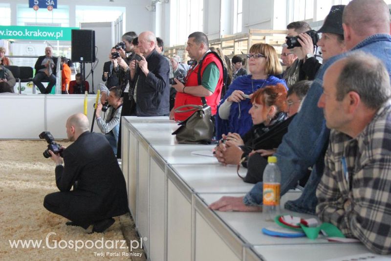 XXVI Krajowa Wystawa Zwierząt Hodowlanych - sobota i niedziela