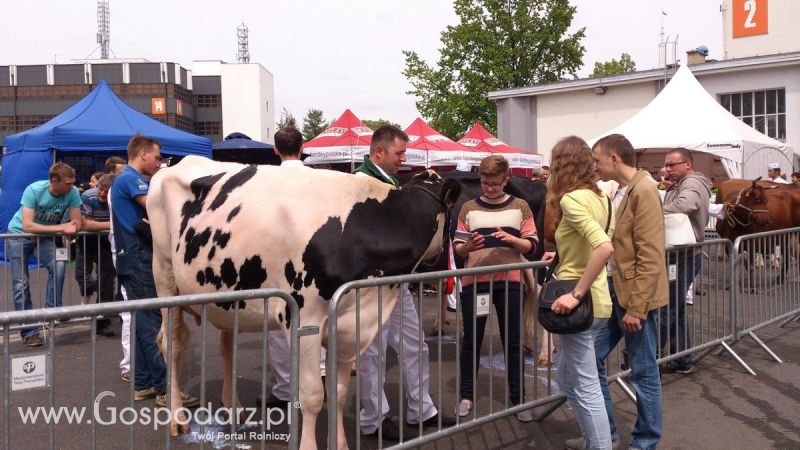 KWZH 2015. Bliskie spotkania ze zwierzętami hodowlanymi