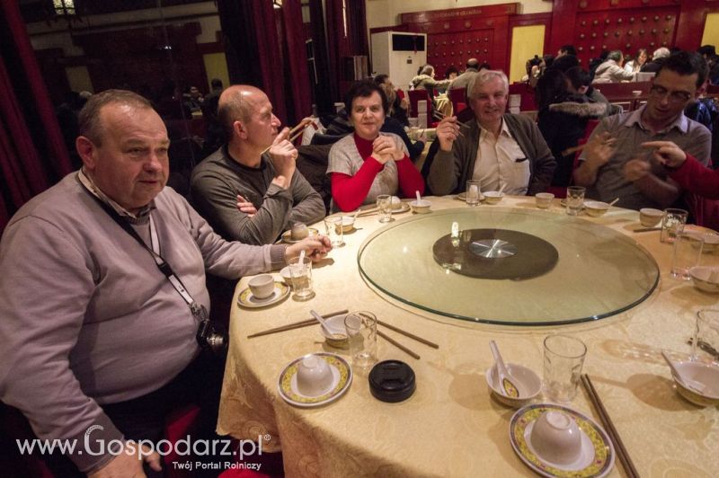 Gospodarz.pl w Chinach