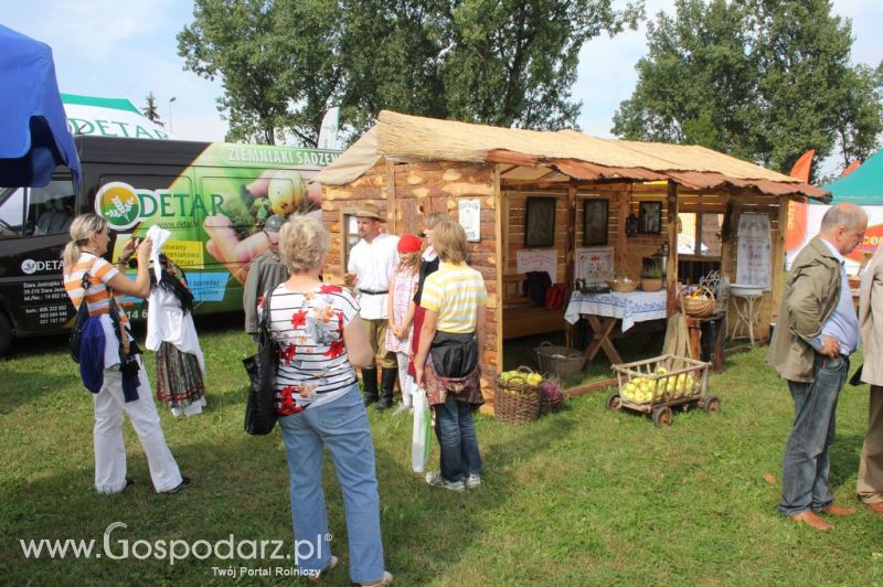 XIX Krajowe Dni Ziemniaka w Marszewie