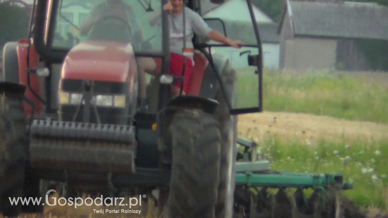 Talerzowane 2013 