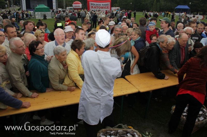 Świętomięs Polski w Chorzowie