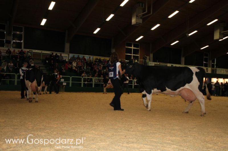 Wystawa  Blickpunkt Rind 2013 w miejscowości Paaren/Glien (Niemcy)