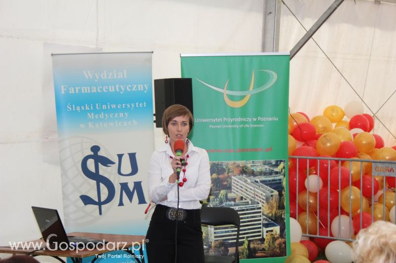 Świętomięs Polski w Chorzowie