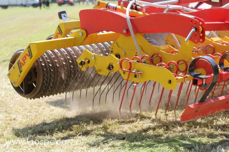 Zielone AGRO SHOW – POLSKIE ZBOŻA 2014 w Sielinku - sobota