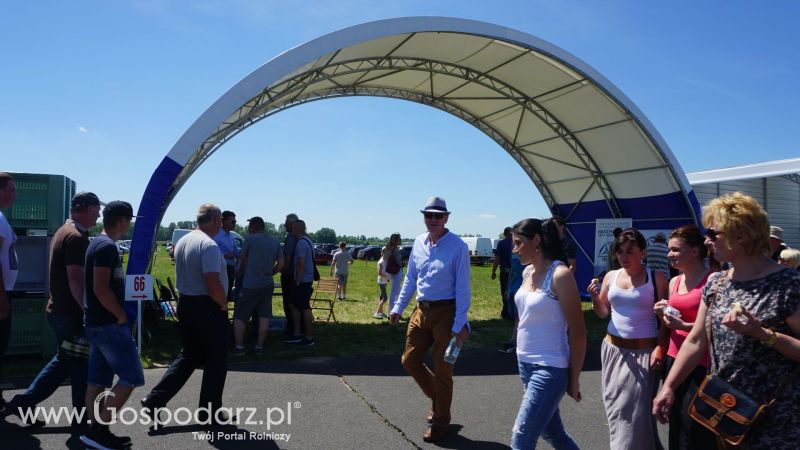 Skavska Hale na ZIELONE AGRO SHOW w Ułężu 2017