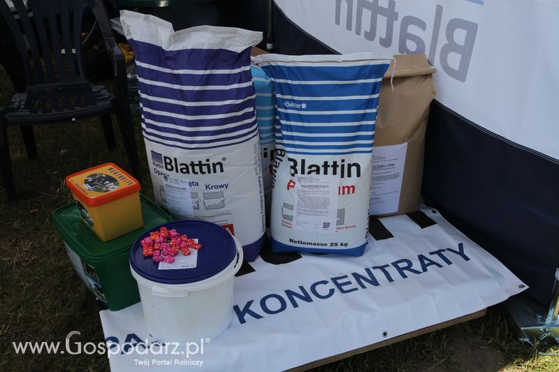 Blattin na ZIELONE AGRO SHOW 2016