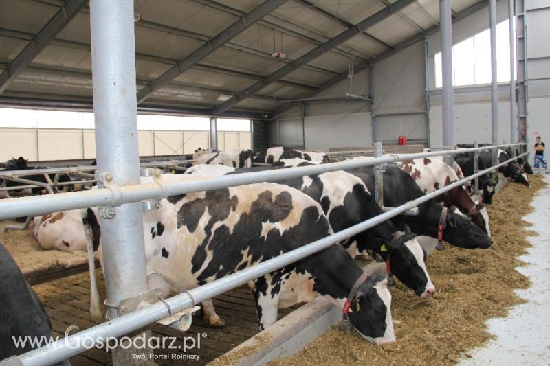 Dni Otwarte w GR Hendripol sp. z o.o.
