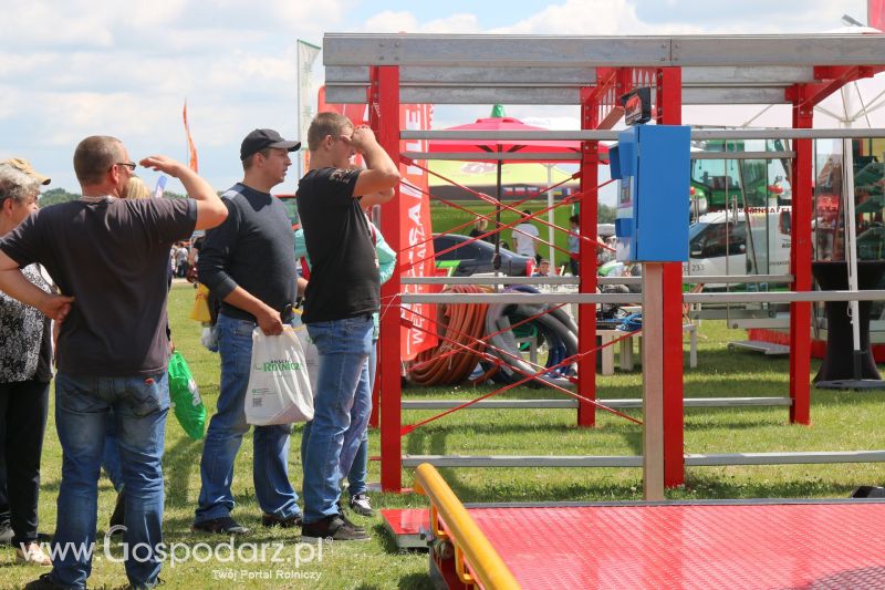 Ditta Seria na AGRO-TECH Minikowo 2017