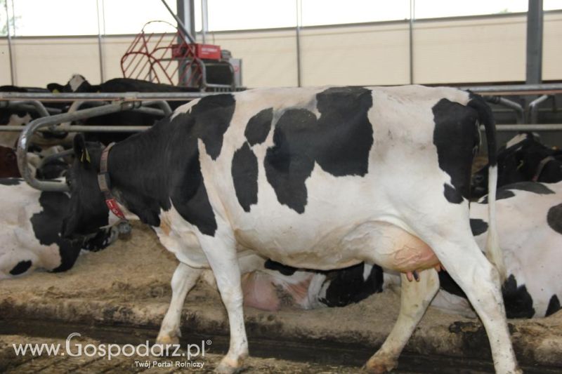 Dni Otwarte w GR Hendripol sp. z o.o.