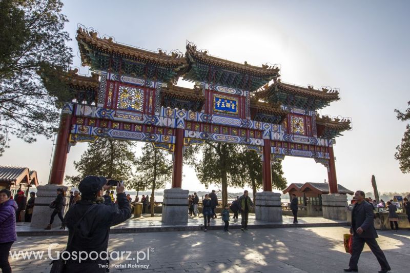 Gospodarz.pl w Chinach