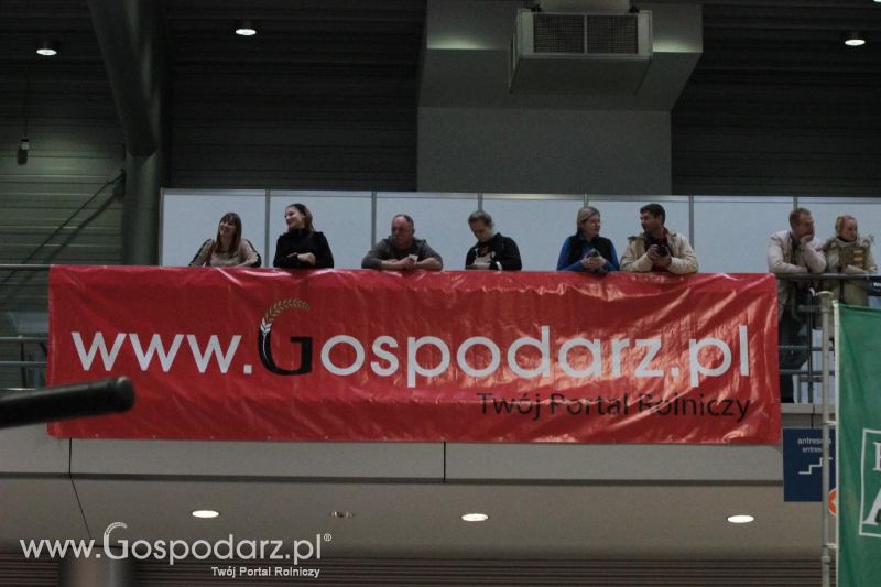 CAVALIADA 2013 w Poznaniu