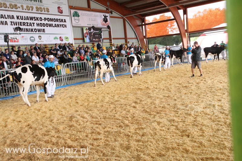 Agro-Tech Minikowo 2018