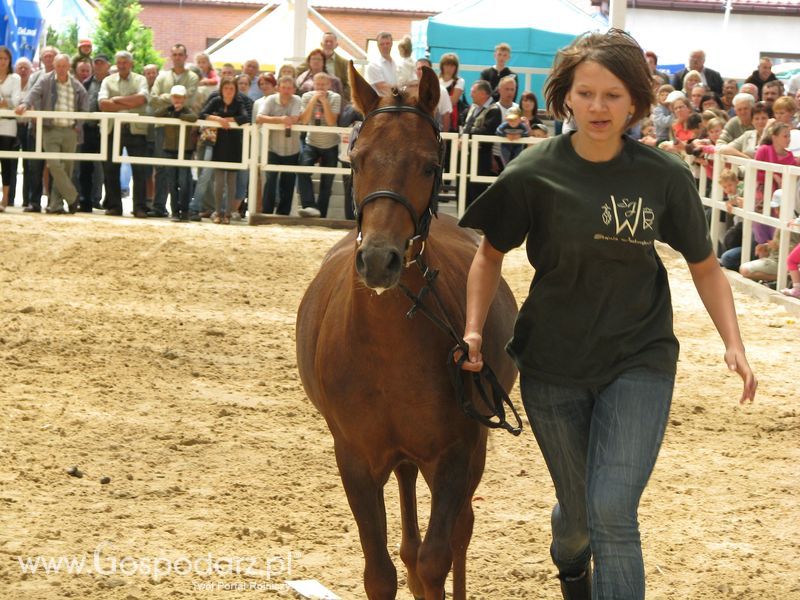 Wystawa Koni Sielinko 2011