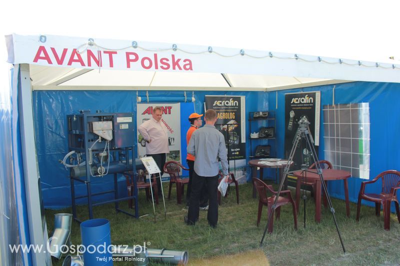 Polskie Zboża 2011 - Piątek 