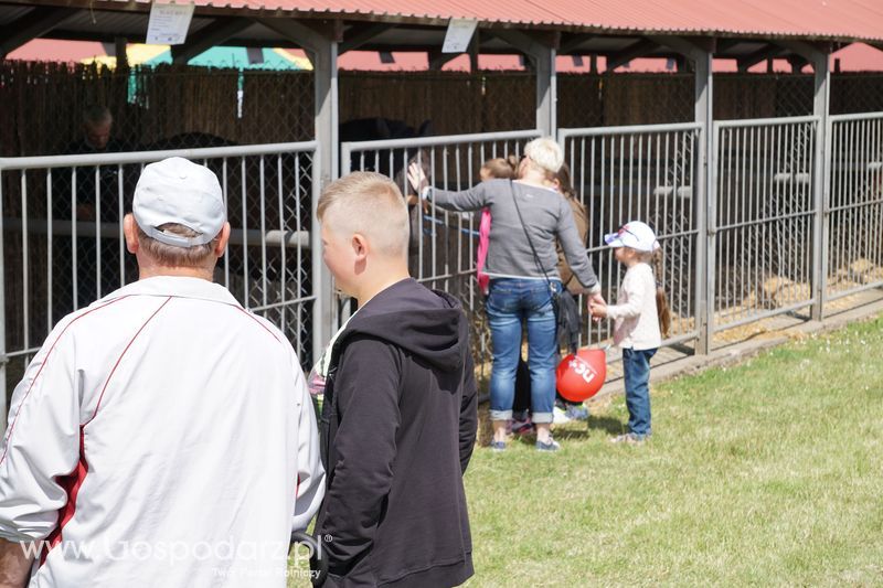 XXII Żuławskie Targi Rolne w Starym Polu