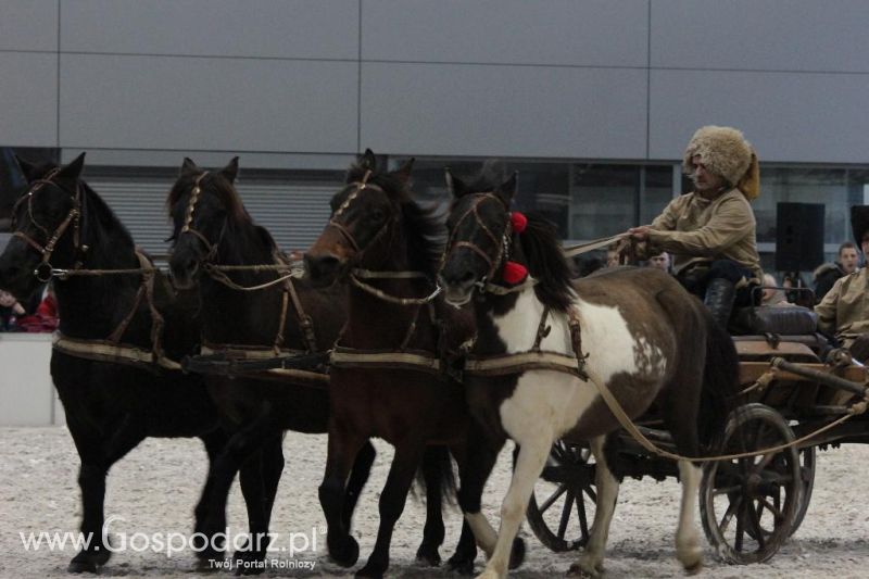 CAVALIADA 2013 w Poznaniu
