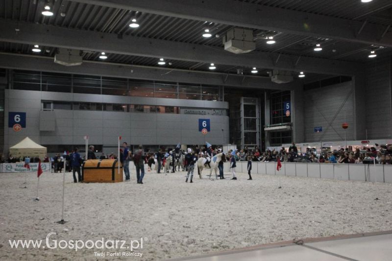 CAVALIADA 2013 w Poznaniu