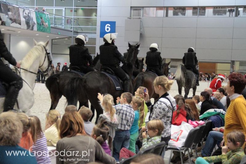 CAVALIADA 2013 w Poznaniu