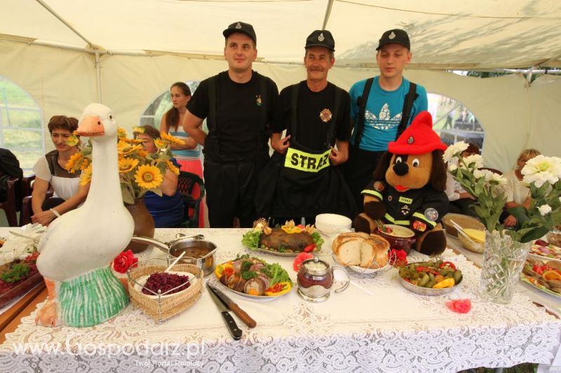 XI Święto Gęsi w Biskupcu