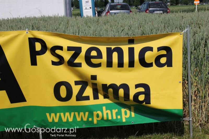 Zielone AGRO SHOW – POLSKIE ZBOŻA 2014 w Sielinku - niedziela