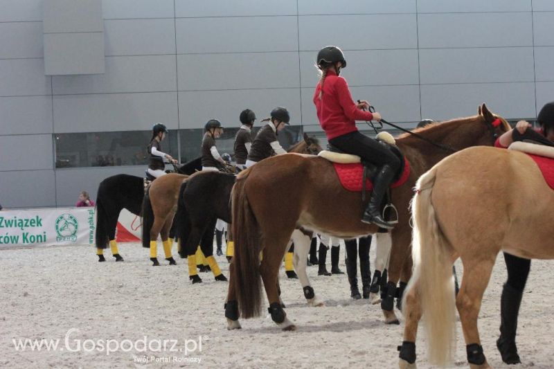 CAVALIADA 2013 w Poznaniu