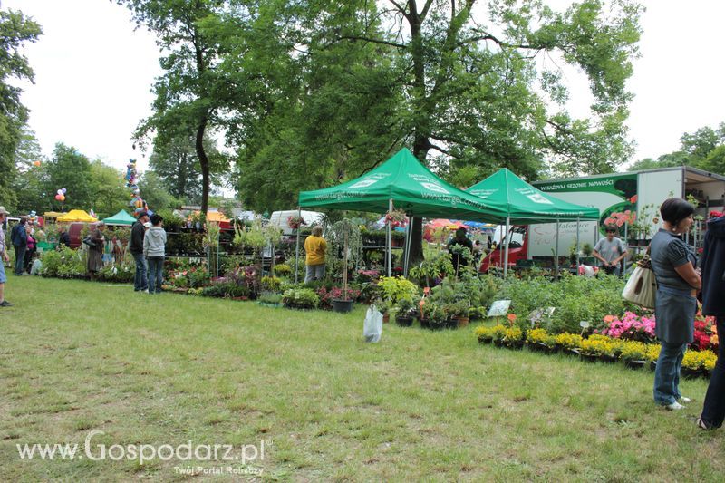 XX Targi Rolnicze Lubniewice 