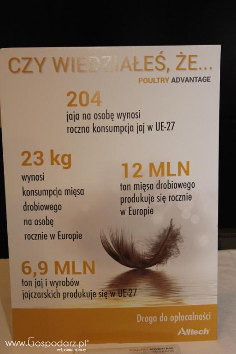 Stay Curious Europejska Trasa Wykładowa Alltech w Poznaniu