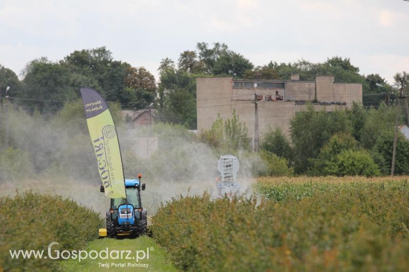 Pokazy Polowe z firmą Bogart